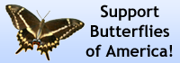 Support Butterflies of America!