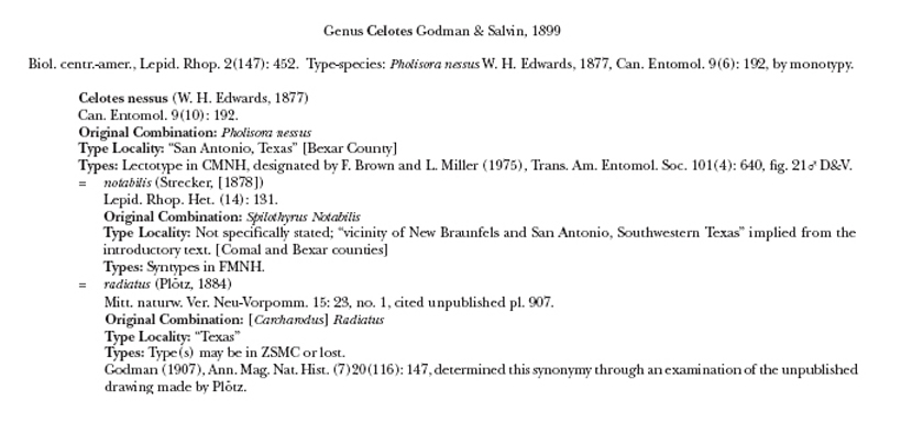 Celotes nessus synonymy
