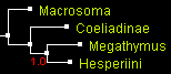 MegO_4_BioNJ.gif