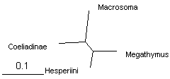 MegO_4_BioNJ_.gif
