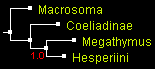 MegO_4_MrBayes.gif