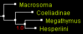 MegO_4_PhyML.gif
