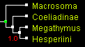 MegO_4_TNT.gif