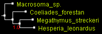 MegO_COI_MrBayes.gif
