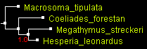 MegO_EF_BioNJ.gif