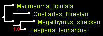 MegO_EF_MrBayes.gif