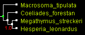 MegO_EF_TNT.gif