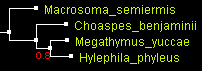 MegO_ND1_BioNJ.gif