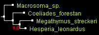 MegO_WG_BioNJ.gif