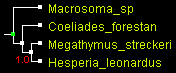 MegO_WG_TNT.gif