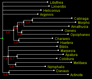 NymphCOI_MrBayes.gif