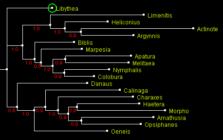NymphEF_MrBayes.gif