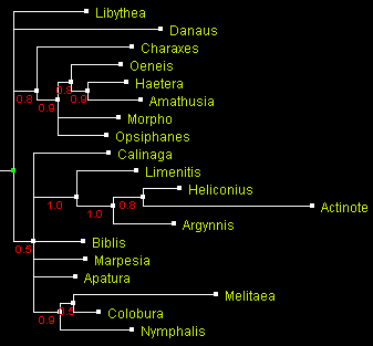 NymphWG_MrBayes.gif