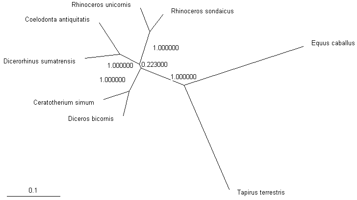 RinosPhyML_TV.gif