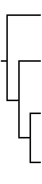 Tr.png